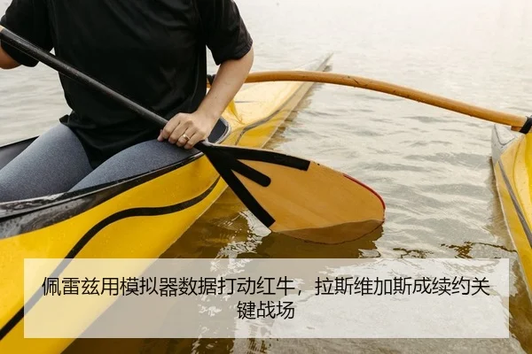 pei-lei-zi-yong-mo-ni-qi-shu-ju-da-dong-hong-niu-la-si-wei-jia-si-cheng-xu-yue-guan-jian-zhan-chang-2-357.jpg